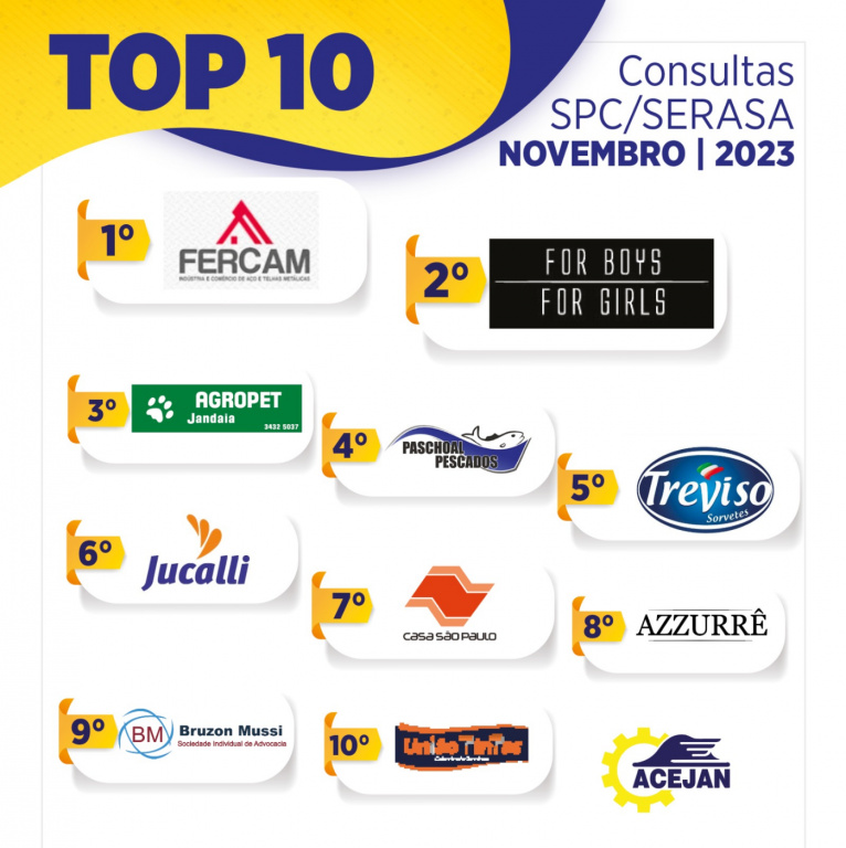 TOP 10 CONSULTAS SPC/SERASA MÊS 11/2023