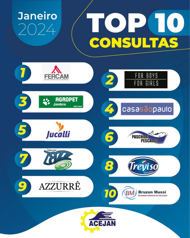 TOP 10 CONSULTAS SPC/SERASA MÊS 01/2024